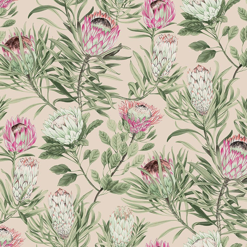 Wallpaper Protea Wallpaper Sample // Blush 8 x 10 