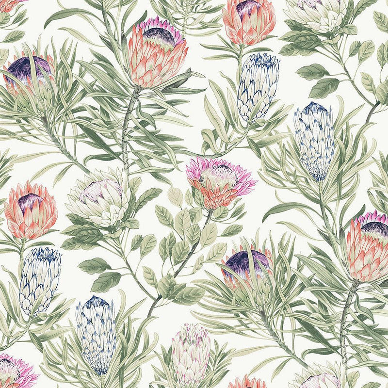 Wallpaper Protea Wallpaper Sample // White & Fuchsia 8 x 10 
