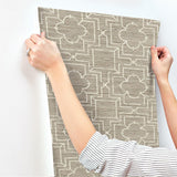 Wallpaper Quatrefoil Trellis Peel & Stick Wallpaper // Neutral 