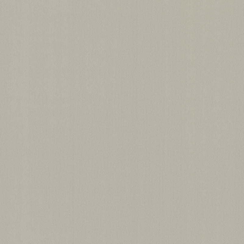 Wallpaper Radiant Juniper Wallpaper Sample // Beige 8 x 10 