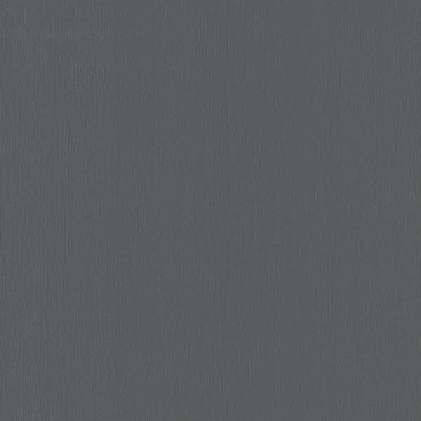 Wallpaper Radiant Juniper Wallpaper Sample // Black 8 x 10 