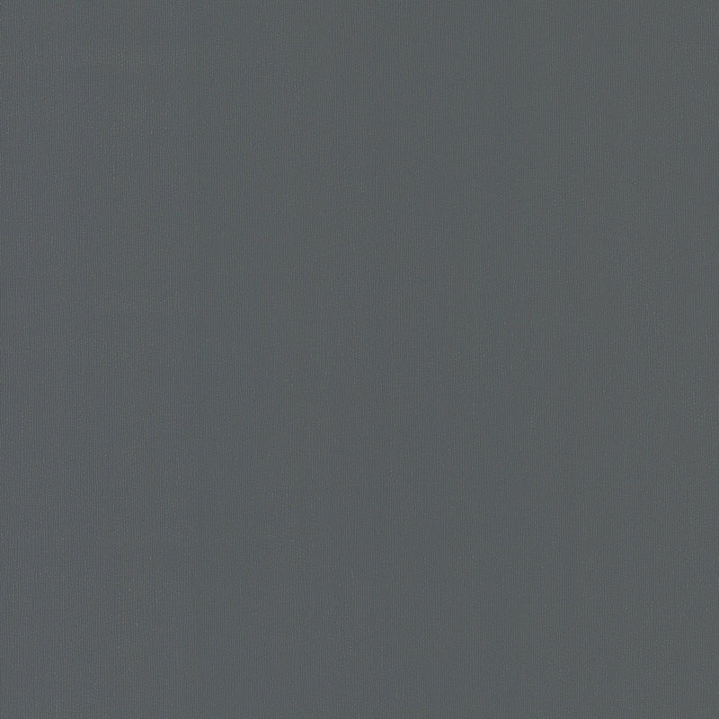 Wallpaper Radiant Juniper Wallpaper Sample // Black 8 x 10 