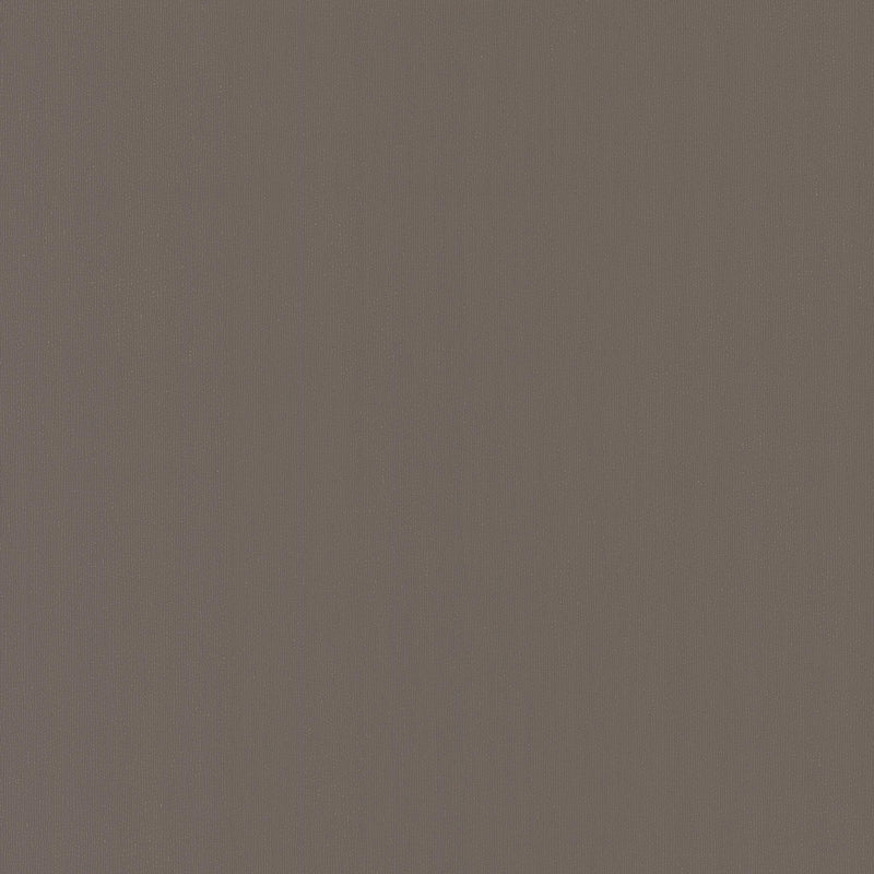 Wallpaper Radiant Juniper Wallpaper Sample // Brown 8 x 10 