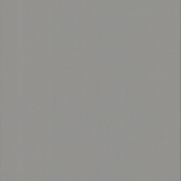 Wallpaper Radiant Juniper Wallpaper Sample // Dark Grey 8 x 10 