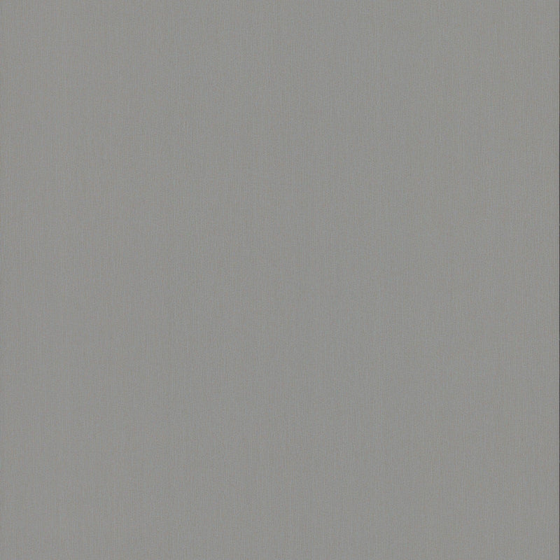 Wallpaper Radiant Juniper Wallpaper Sample // Dark Grey 8 x 10 