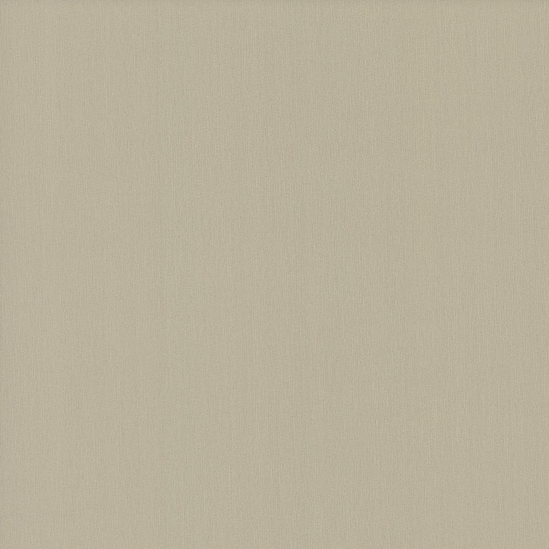 Wallpaper Radiant Juniper Wallpaper Sample // Tan 8 x 10 