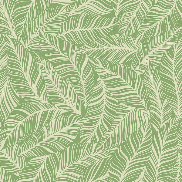 Wallpaper Rainforest Canopy Wallpaper // Green 