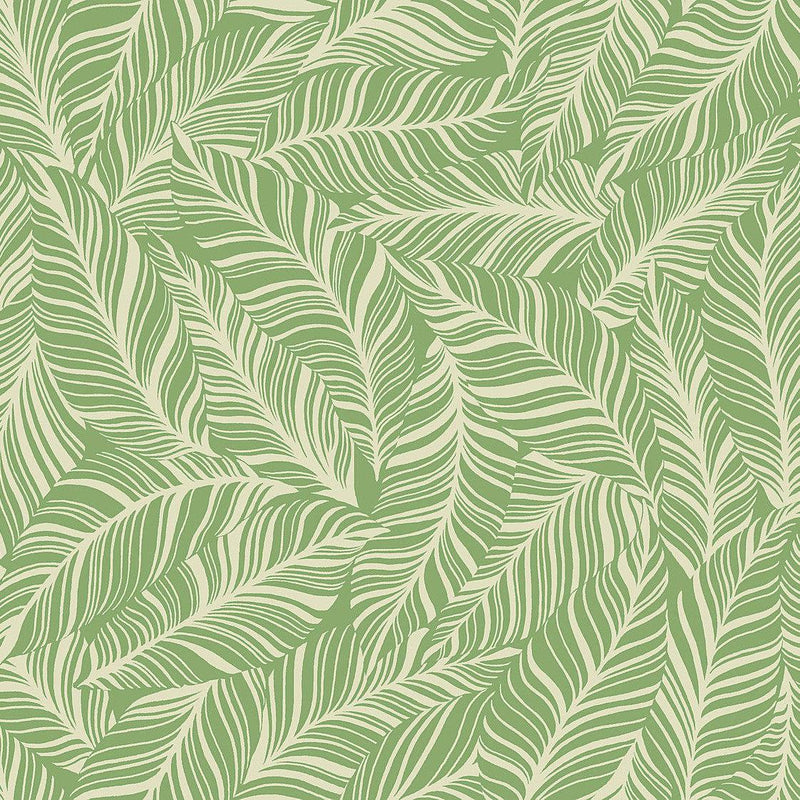 Wallpaper Rainforest Canopy Wallpaper Sample // Green 8 x 10 