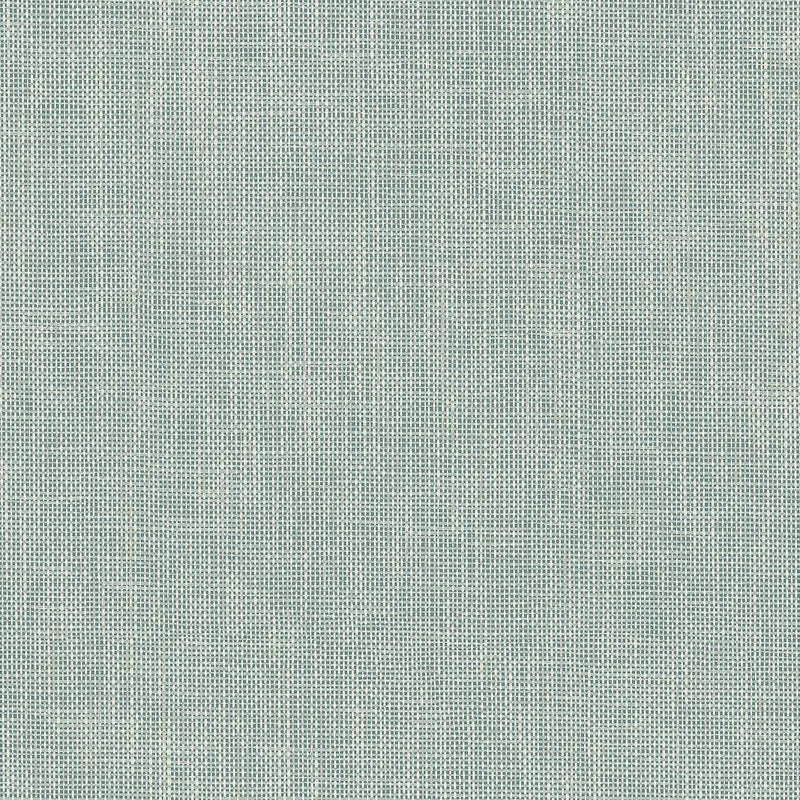 Wallpaper Reed Basket Peel & Stick Wallpaper Sample // Blue 8 x 10 