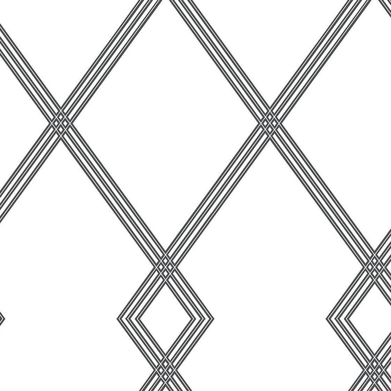 Wallpaper Ribbon Stripe Trellis Wallpaper Sample // White & Black 8 x 10 