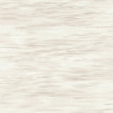 Wallpaper Ripples Wallpaper // Neutral 