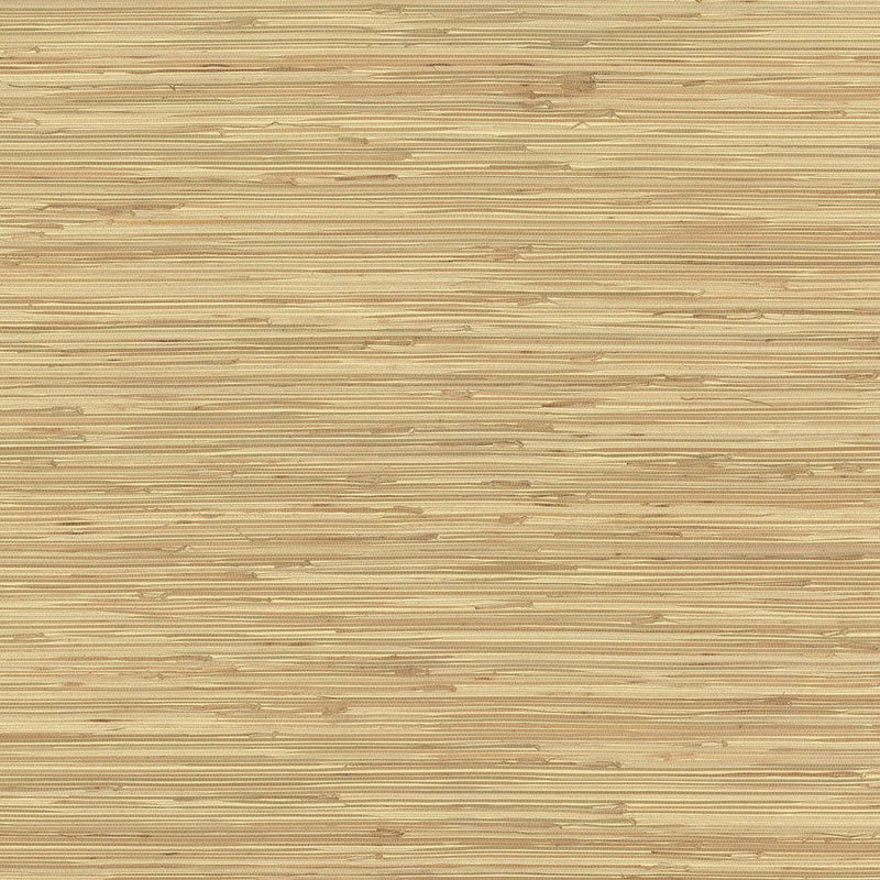 Wallpaper River Grass Wallpaper Sample // Beige 8 x 10 