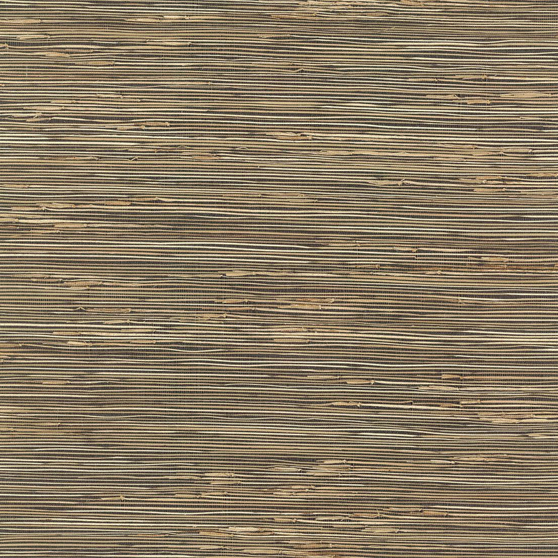 Wallpaper River Grass Wallpaper Sample // Black 8 x 10 