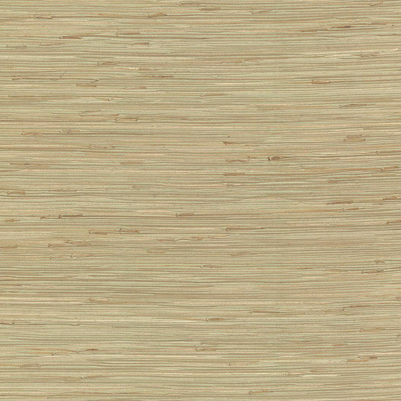 Wallpaper River Grass Wallpaper Sample // Green 8 x 10 
