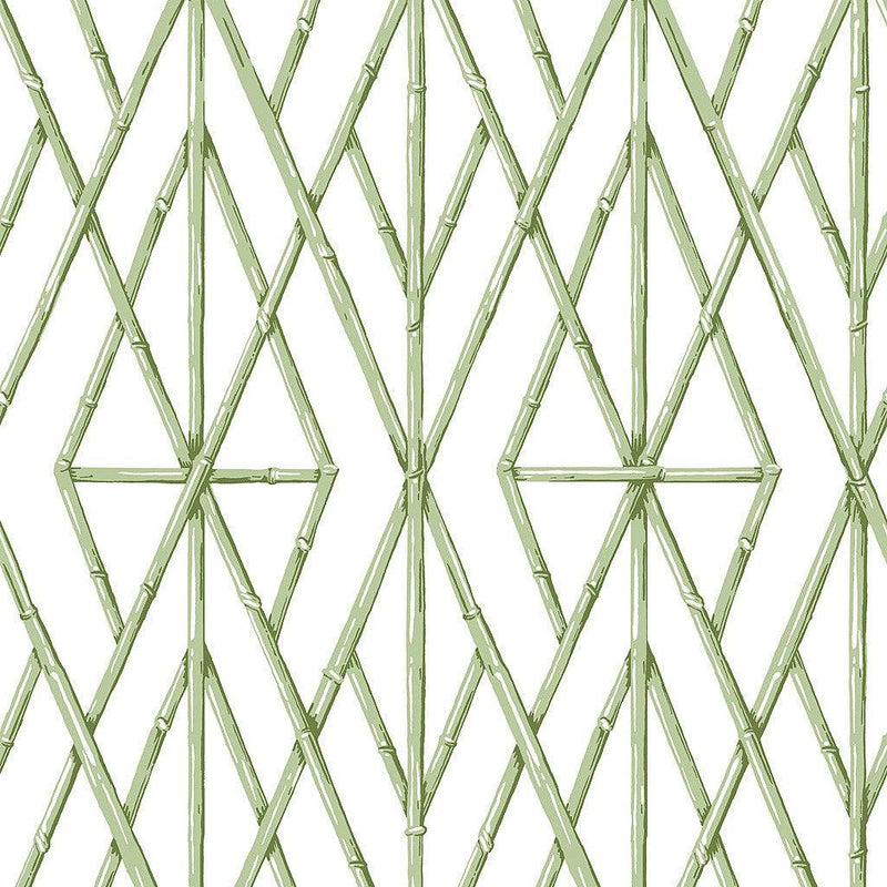 Wallpaper Riviera Bamboo Trellis Wallpaper Sample // Green 8 x 10 