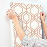 Wallpaper Sawgrass Trellis Wallpaper // Coral 