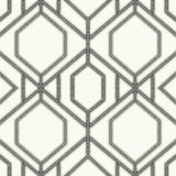 Wallpaper Sawgrass Trellis Wallpaper // White & Grey 