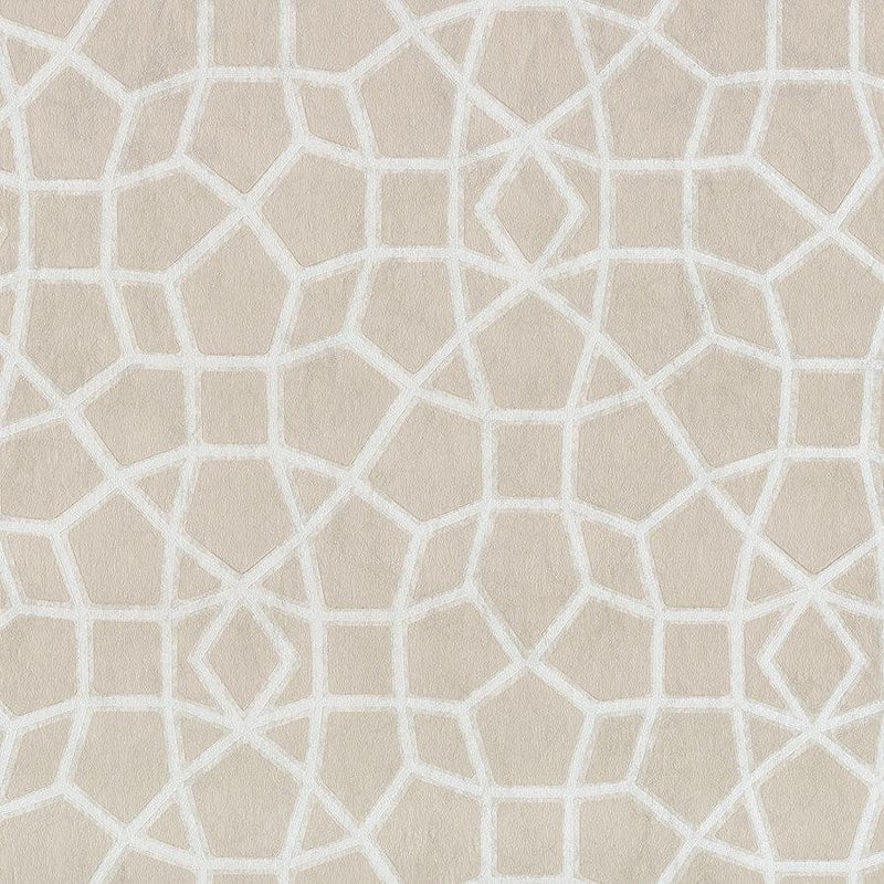 Wallpaper Sculptural Web Wallpaper Sample // Beige 8 x 10 