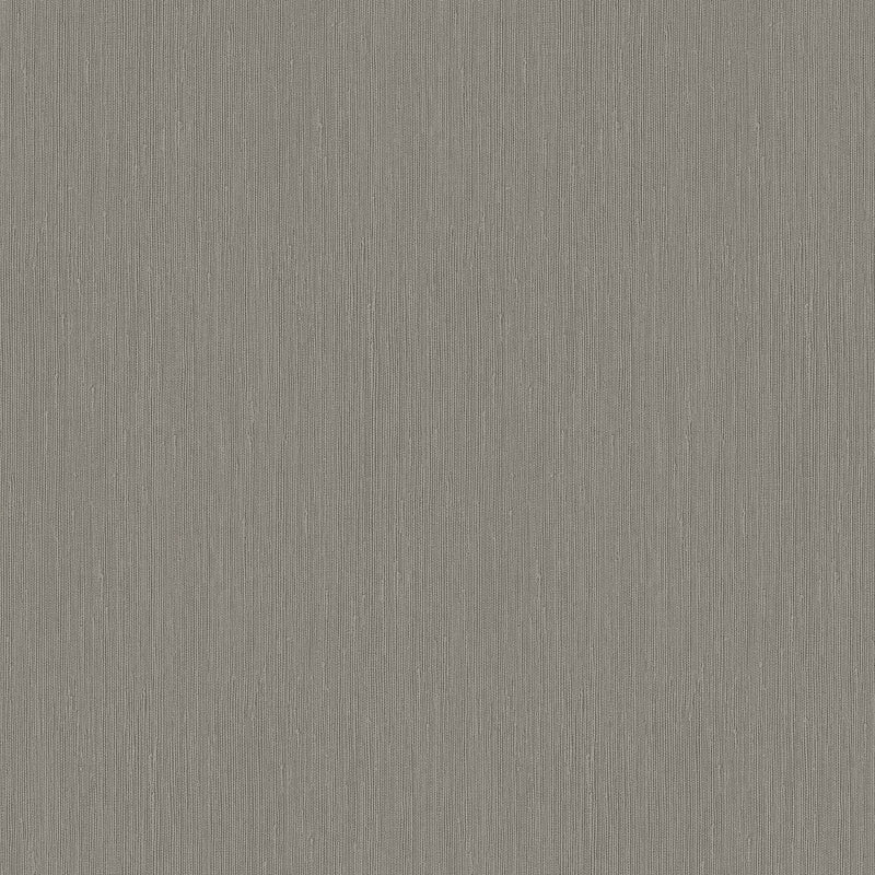 Wallpaper Seagrass Wallpaper Sample // Light Grey 8 x 10 