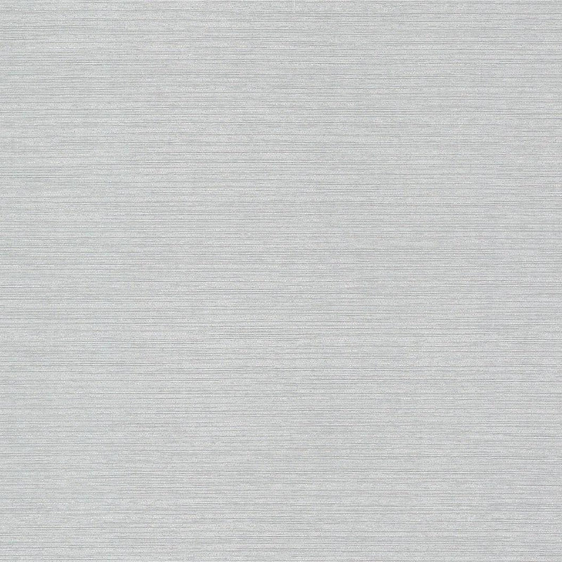 Wallpaper Shining Sisal Grasscloth Wallpaper Sample // Silver Metallic 8 x 10 