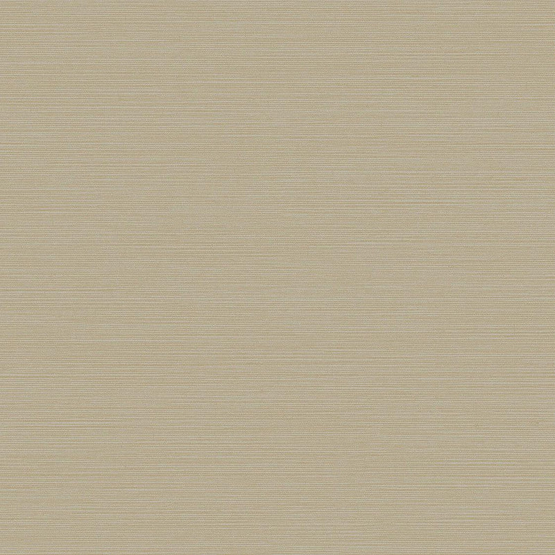 Wallpaper Shining Sisal Grasscloth Wallpaper Sample // Tan Metallic 8 x 10 