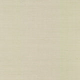 Wallpaper Sisal Grasscloth Wallpaper // Beige 
