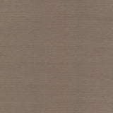 Wallpaper Sisal Grasscloth Wallpaper // Brown 