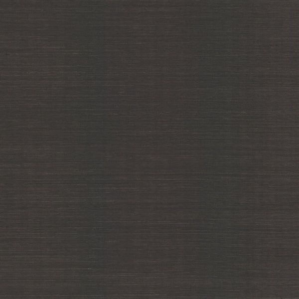 Wallpaper Sisal Grasscloth Wallpaper Sample // Black 8 x 10 