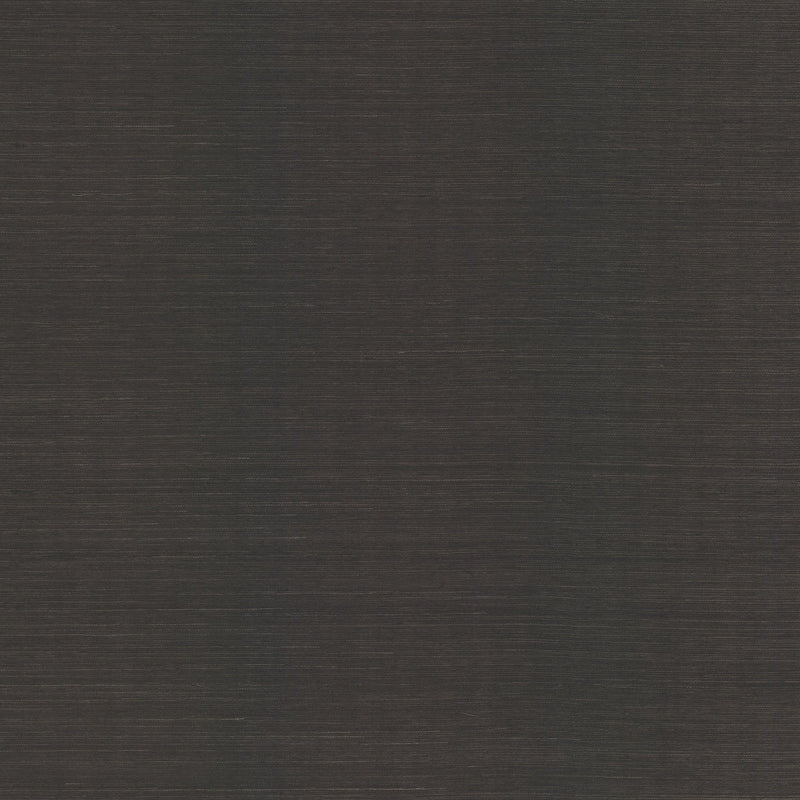 Wallpaper Sisal Grasscloth Wallpaper Sample // Black 8 x 10 
