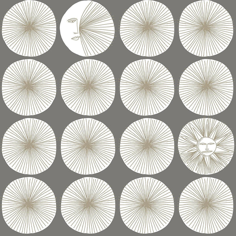 Wallpaper Soho Starburst Peel & Stick Wallpaper Sample // Grey 8 x 10 