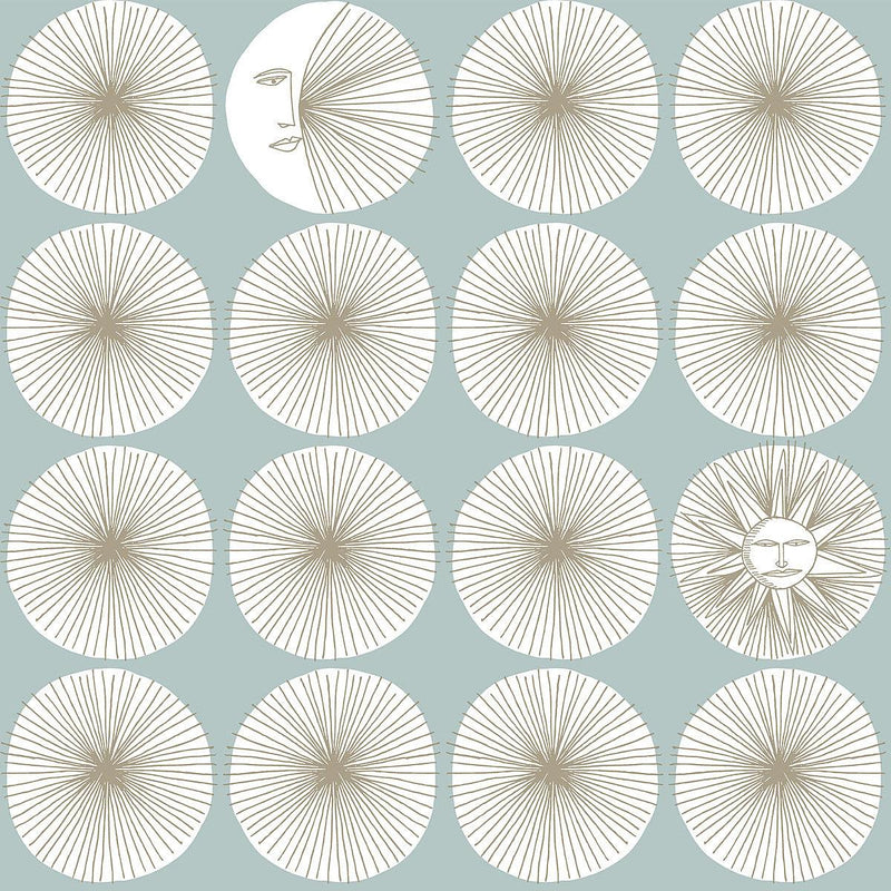 Wallpaper Soho Starburst Peel & Stick Wallpaper Sample // Light Blue 8 x 10 