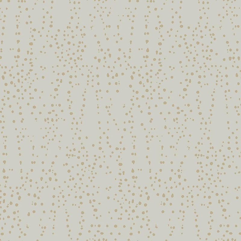 Wallpaper Star Struck Wallpaper Sample // Grey & Gold 8 x 10 