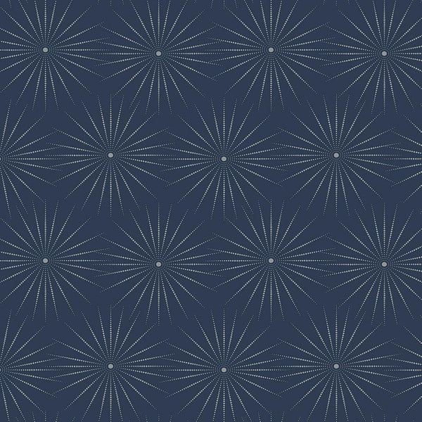 Wallpaper Starlight Wallpaper // Blue & Silver 