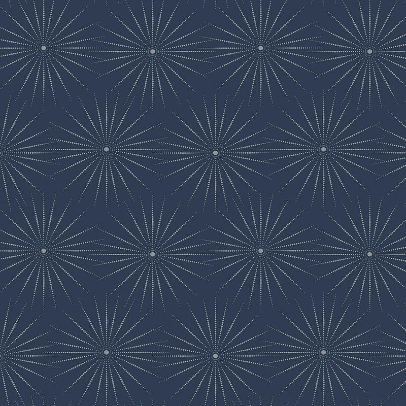 Wallpaper Starlight Wallpaper // Blue & Silver 