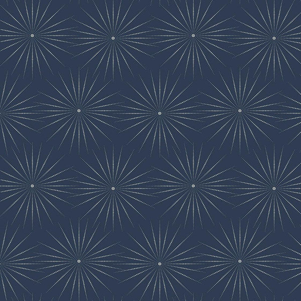 Wallpaper Starlight Wallpaper // Blue & Silver 