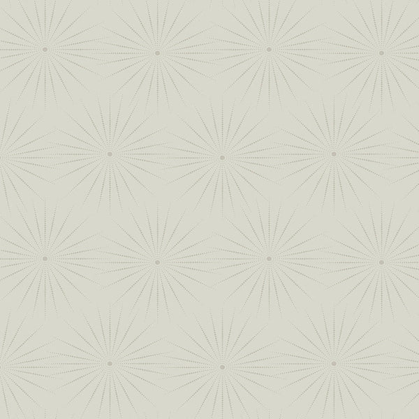 Wallpaper Starlight Wallpaper // Grey 