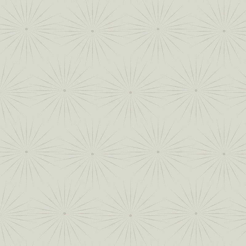 Wallpaper Starlight Wallpaper // Grey 