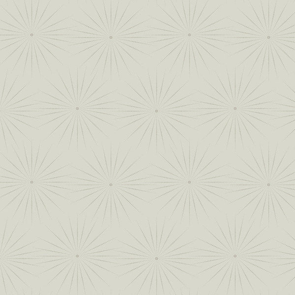Wallpaper Starlight Wallpaper // Grey 