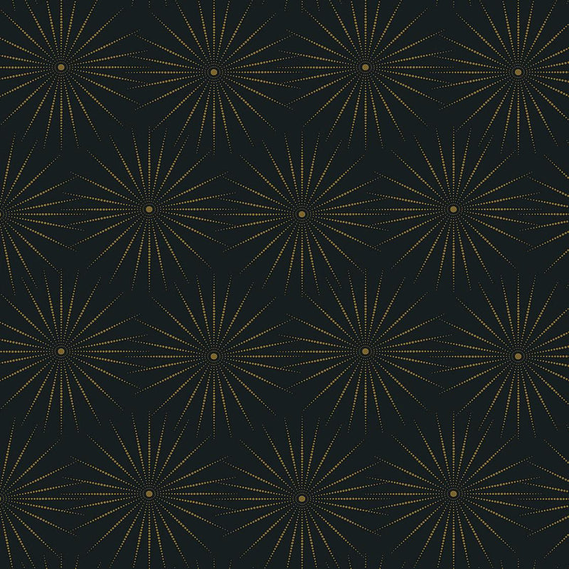 Wallpaper Starlight Wallpaper Sample // Black & Gold 8 x 10 