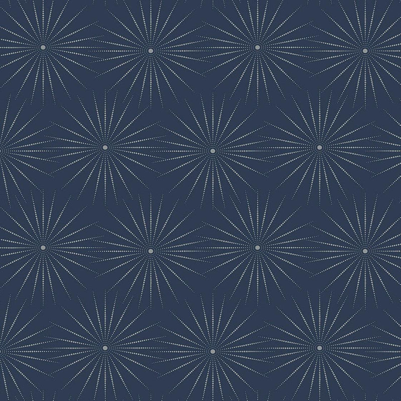 Wallpaper Starlight Wallpaper Sample // Blue & Silver 8 x 10 