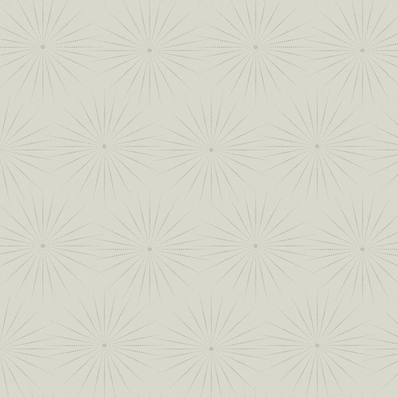 Wallpaper Starlight Wallpaper Sample // Grey 8 x 10 