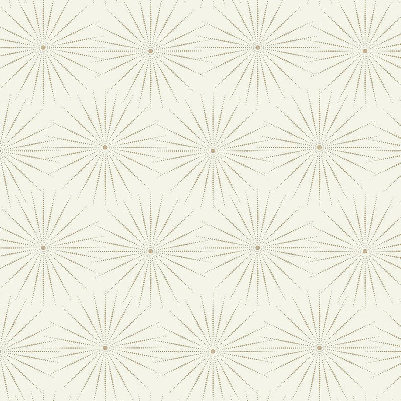 Wallpaper Starlight Wallpaper Sample // White & Silver 8 x 10 