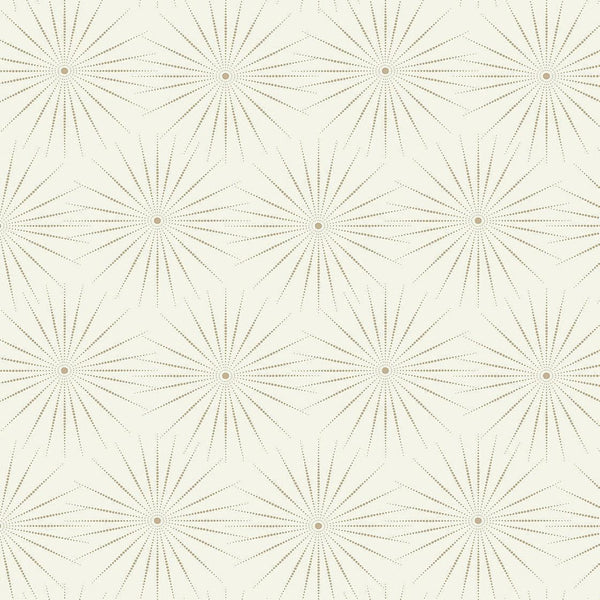 Wallpaper Starlight Wallpaper // White & Silver 