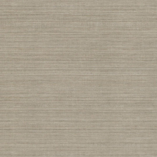 Wallpaper Tasar Silk Wallpaper // Brown 