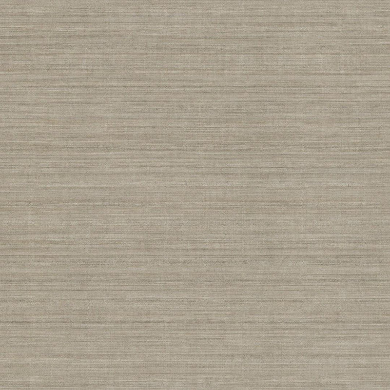 Wallpaper Tasar Silk Wallpaper Sample // Brown 8 x 10 