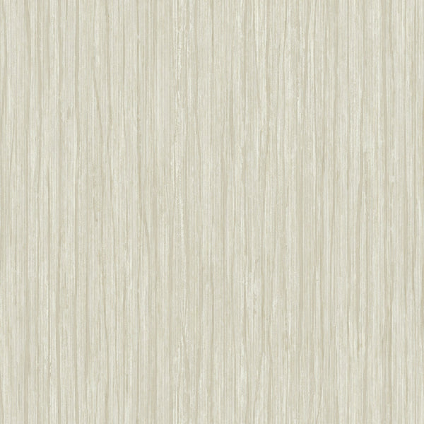 Wallpaper Temperate Veil Wallpaper // Dark Cream 