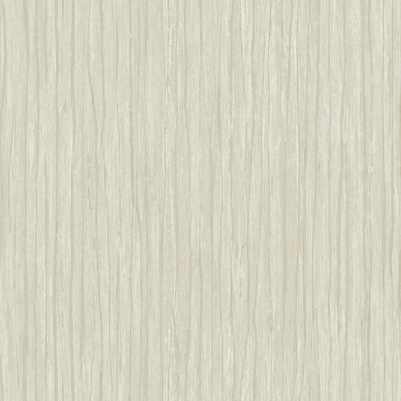 Wallpaper Temperate Veil Wallpaper // Dark Cream 