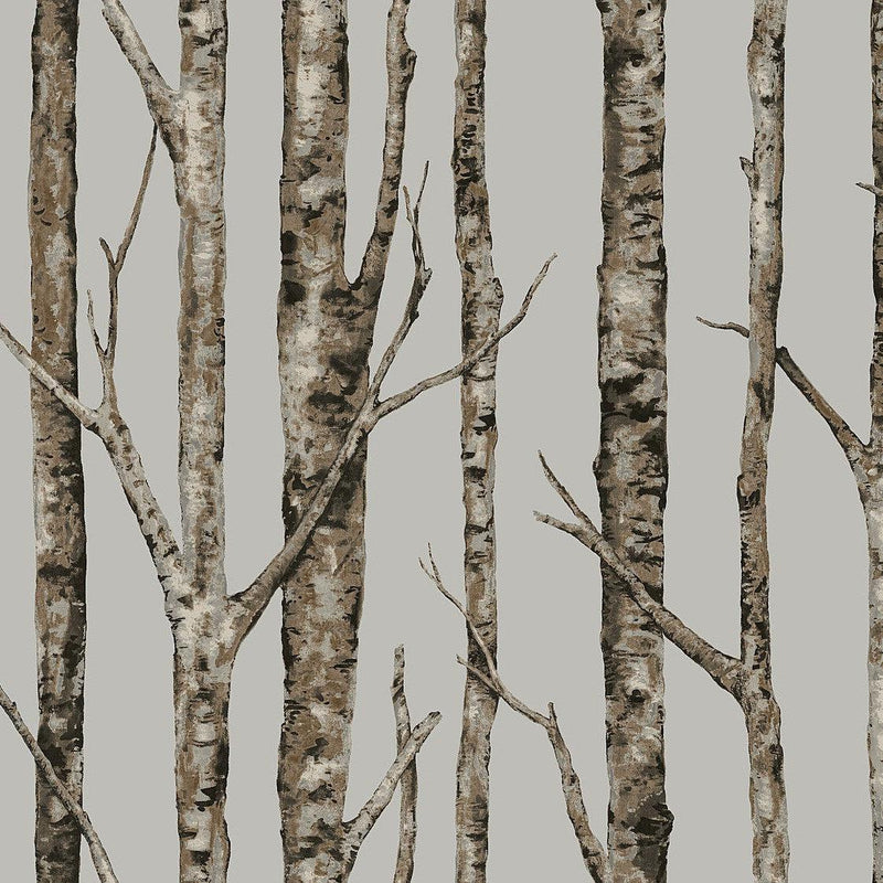 Wallpaper The Birches Wallpaper Sample // Silver Grey & Taupe 8 x 10 