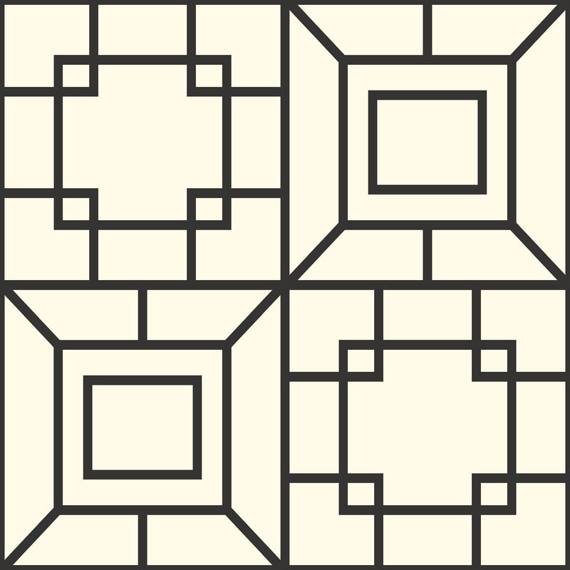 Wallpaper Theorem Wallpaper Sample // Black & White 8 x 10 