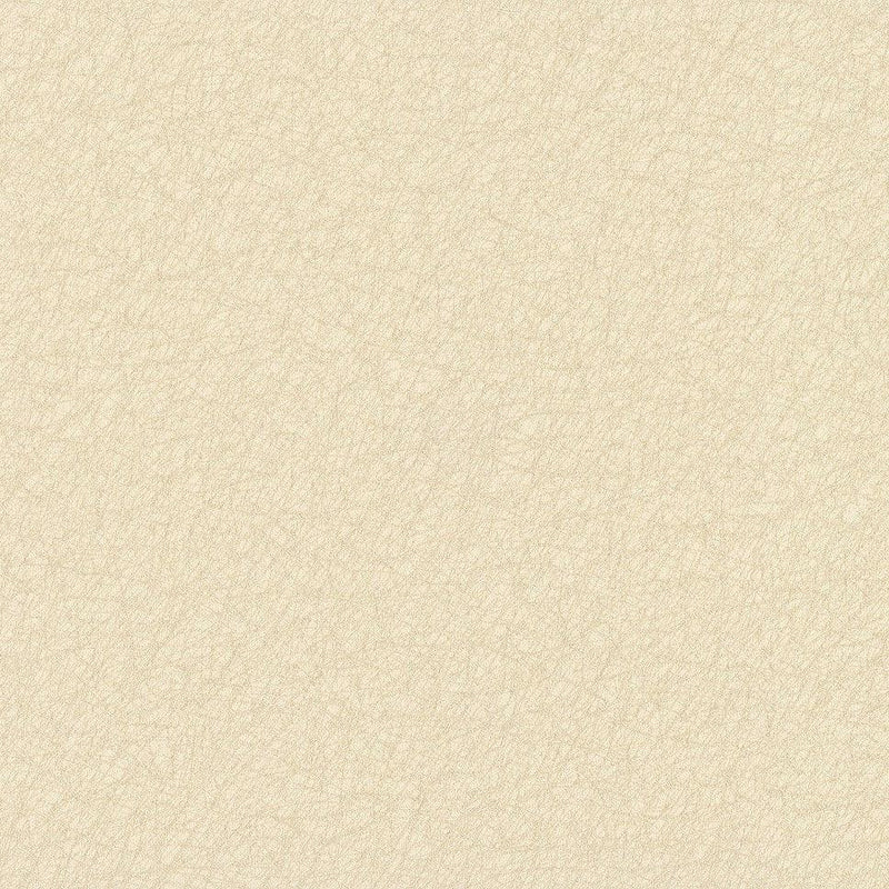 Wallpaper Tossed Fibers Wallpaper Sample // Beige 8 x 10 
